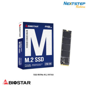 SSD NVMe M.2 M760 256GB