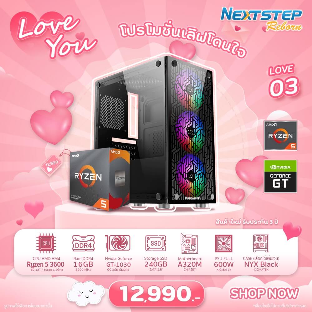 set-03-pro-valentine-2023-ryzen-5-3600-16-ssd240-gt1030-600w-nyx (Custom)